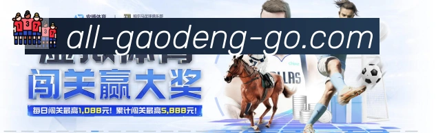 未来规划